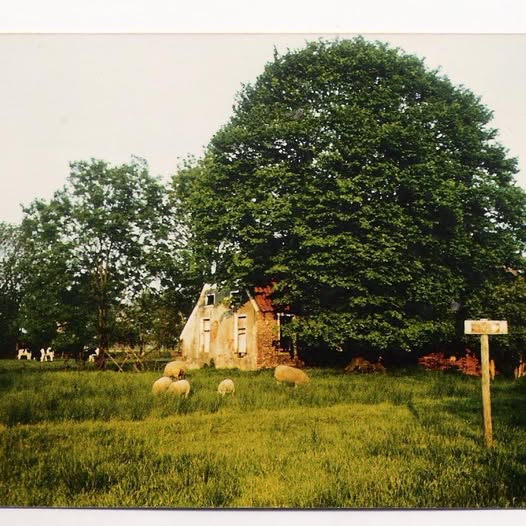 Historische Vereniging Aeldekerka - Coöperatie Sterke Musea Groningen U.A.